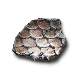 血魔的铠甲碎片